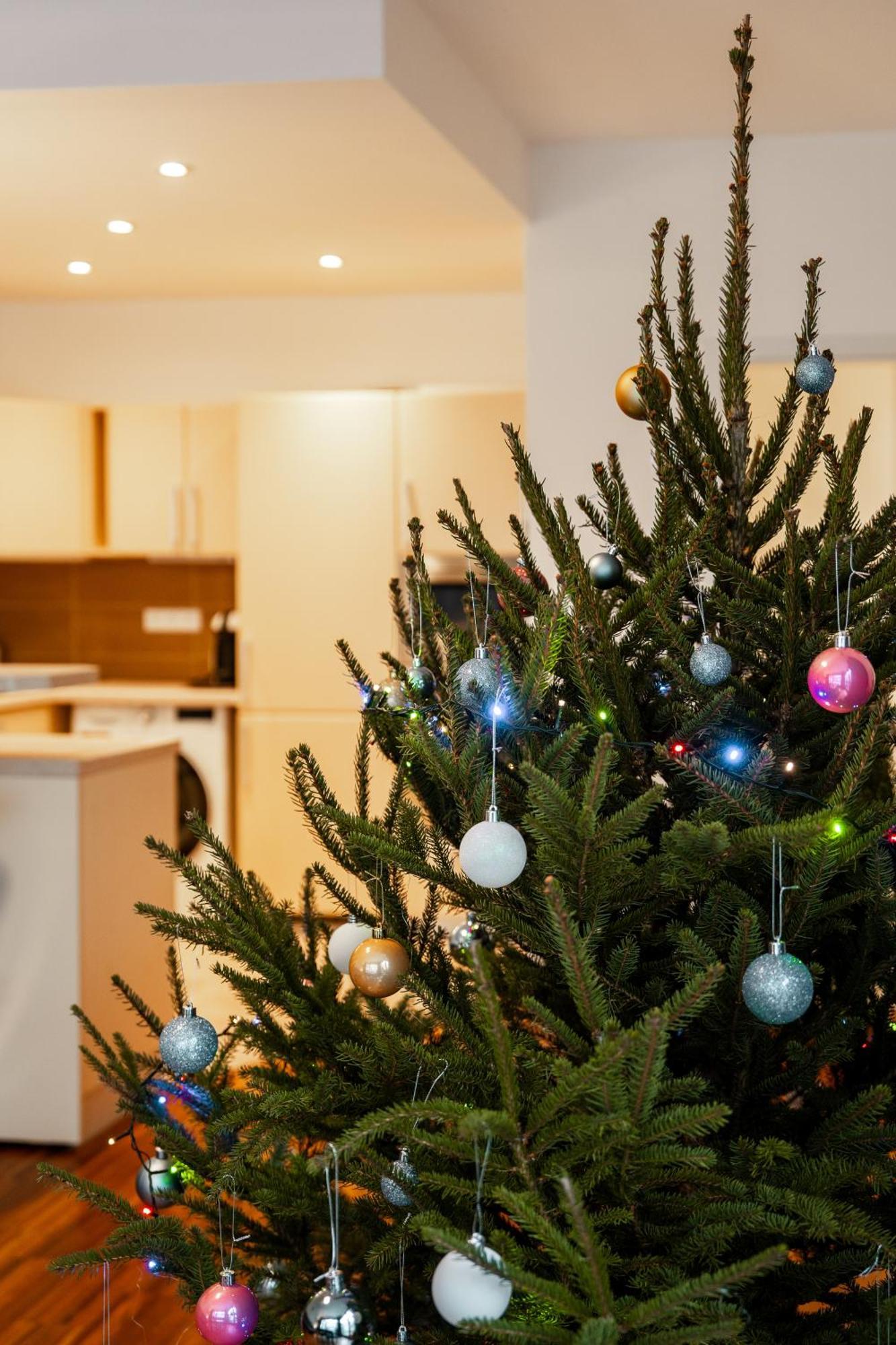 Auriapartments Karlin 2Kk S Terasou A Parkovanim Praha Eksteriør bilde